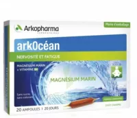 Arkocean Magnesium Marin Solution Buvable Caramel 20 Ampoules/10ml à Saint-Jory